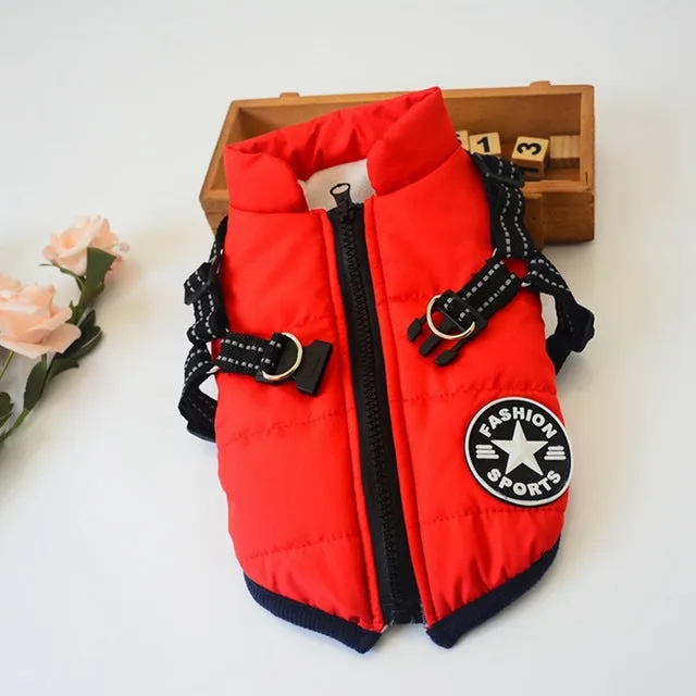 Padded Dog Jackets with Hood