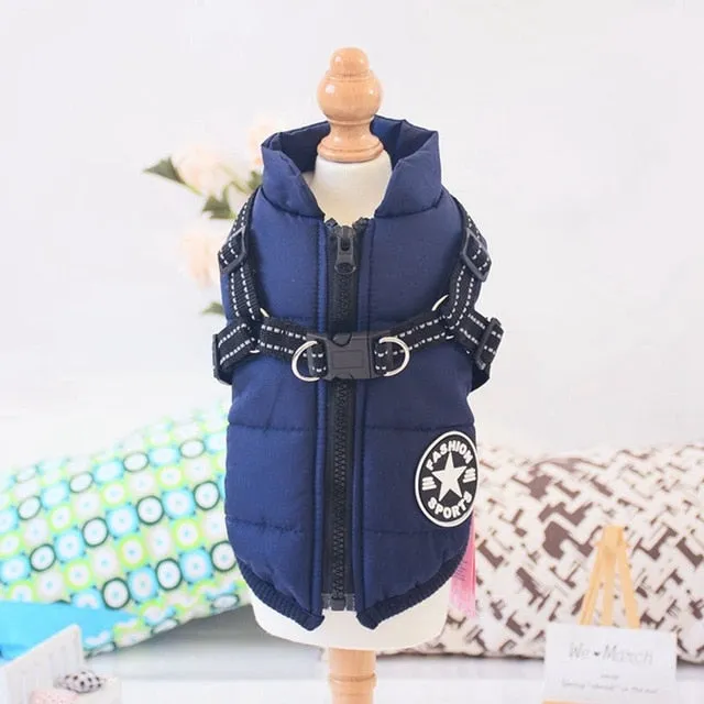 Padded Dog Jackets with Hood