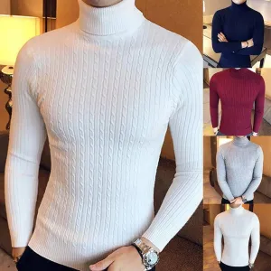 Turtle Neck Long Sleeve Twist Knitted Slim Sweater Men, Knitted Sweaters Pullover Men Knitwear